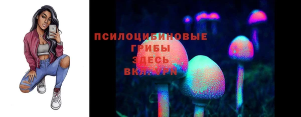 спайс Арсеньев